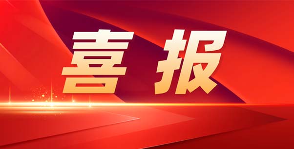 喜报！热烈祝贺我司荣获江苏省“专精特新”企业称号